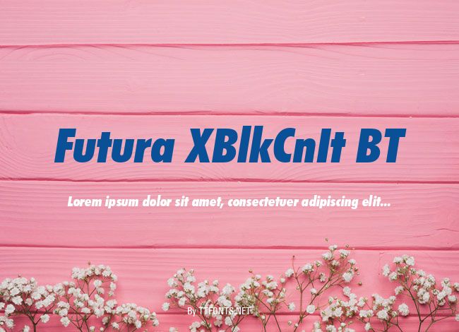 Futura XBlkCnIt BT example